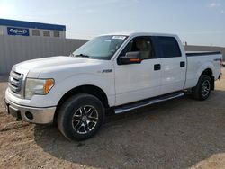 2010 Ford F150 Supercrew en venta en Greenwood, NE