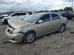 Salvage cars for sale at Homestead, FL auction: 2010 Toyota Corolla Base