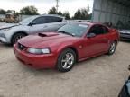 2004 Ford Mustang