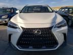 2024 Lexus NX 350H Base