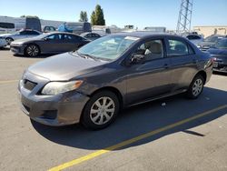 Toyota salvage cars for sale: 2010 Toyota Corolla Base