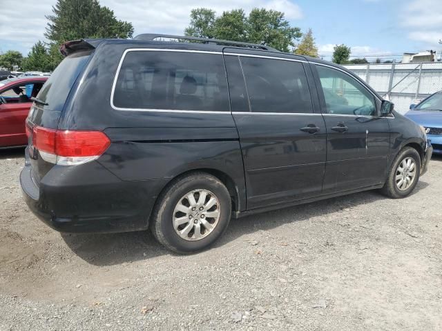 2010 Honda Odyssey EXL