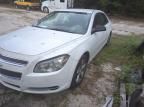 2009 Chevrolet Malibu LS