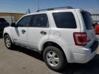 2008 Ford Escape XLT