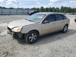 Chevrolet salvage cars for sale: 2005 Chevrolet Malibu Maxx LS