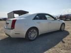 2010 Cadillac CTS Premium Collection