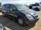 2009 Honda Odyssey EXL