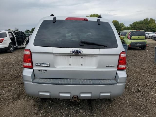 2008 Ford Escape XLT