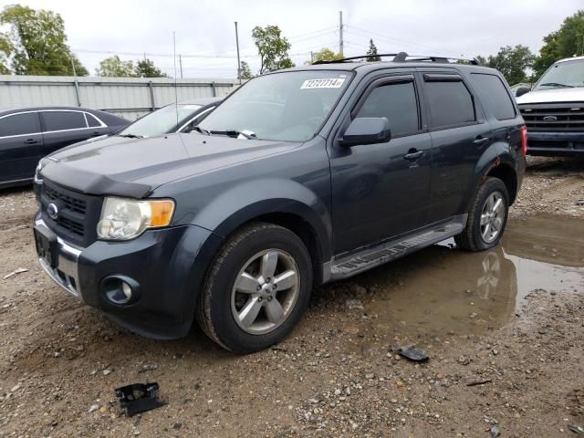 2009 Ford Escape Limited