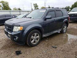 Ford Vehiculos salvage en venta: 2009 Ford Escape Limited