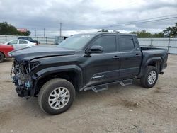 Salvage cars for sale at Newton, AL auction: 2024 Toyota Tacoma Double Cab