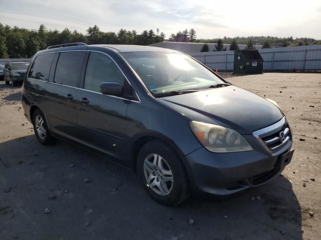 2005 Honda Odyssey EXL