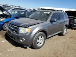 Salvage cars for sale at Brighton, CO auction: 2010 Ford Escape XLT