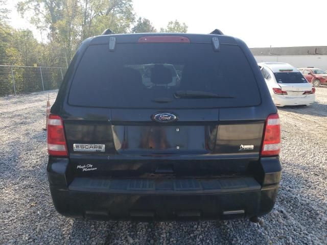 2011 Ford Escape XLT