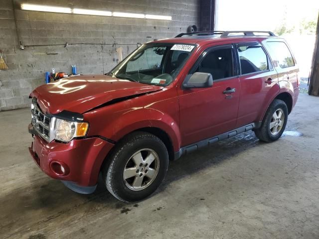 2012 Ford Escape XLT