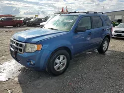 Salvage cars for sale at Cahokia Heights, IL auction: 2010 Ford Escape XLT