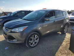 Salvage cars for sale at Arcadia, FL auction: 2013 Ford Escape SEL