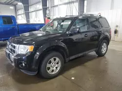 Salvage cars for sale at Ham Lake, MN auction: 2011 Ford Escape Limited