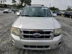 2010 Ford Escape Limited