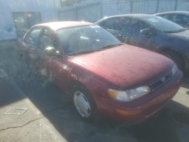 1994 Toyota Corolla LE