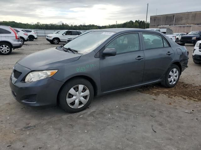 2009 Toyota Corolla Base