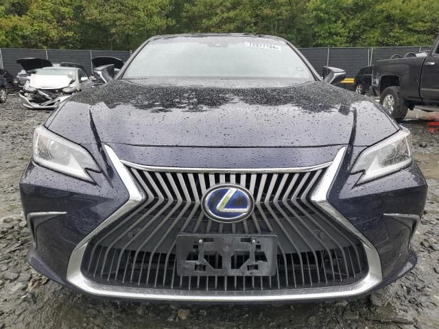 2019 Lexus ES 300H