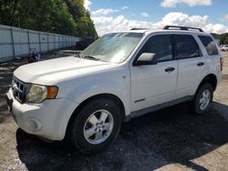 Salvage cars for sale at Shreveport, LA auction: 2008 Ford Escape XLT