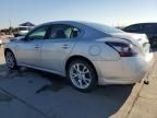 2013 Nissan Maxima S