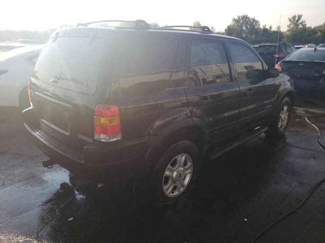 2001 Ford Escape XLT