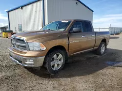 Dodge salvage cars for sale: 2012 Dodge RAM 1500 SLT