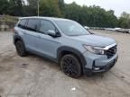 2023 Honda Passport EXL