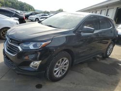 Salvage cars for sale at Louisville, KY auction: 2020 Chevrolet Equinox LT