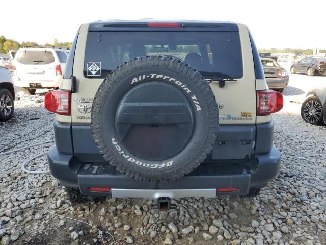 2010 Toyota FJ Cruiser