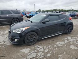 Salvage cars for sale at Indianapolis, IN auction: 2016 Hyundai Veloster Turbo