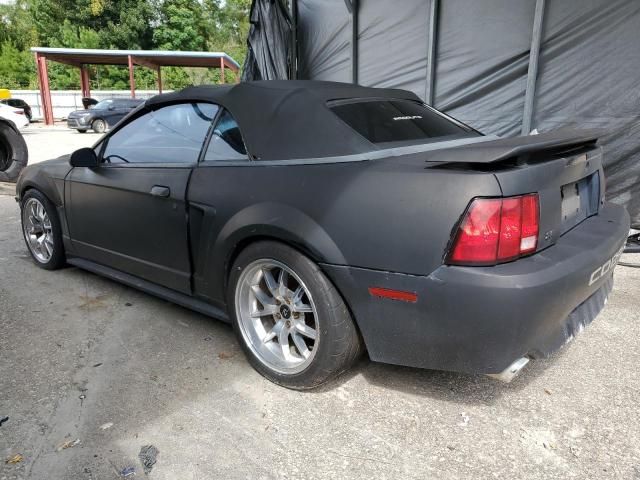 2001 Ford Mustang Cobra SVT