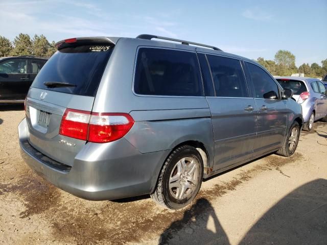 2005 Honda Odyssey EXL