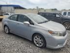 2010 Lexus HS 250H