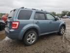 2010 Ford Escape Limited