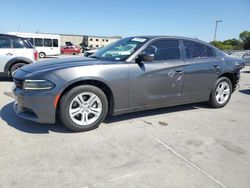 Dodge salvage cars for sale: 2019 Dodge Charger SXT