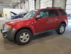 Ford Escape salvage cars for sale: 2012 Ford Escape XLT