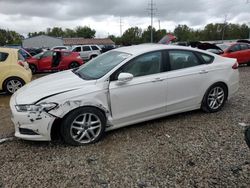 Salvage cars for sale at Columbus, OH auction: 2013 Ford Fusion SE