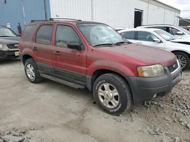 2003 Ford Escape XLT