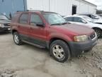 2003 Ford Escape XLT