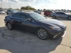 2021 Lexus ES 350 Base