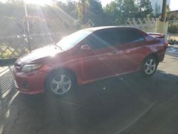 Salvage cars for sale at Gaston, SC auction: 2011 Toyota Corolla Base