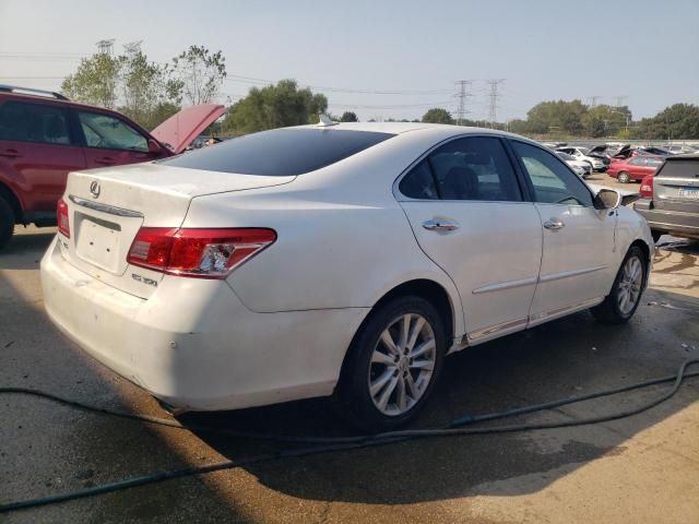 2010 Lexus ES 350