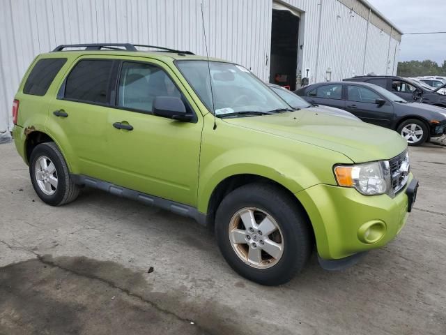 2012 Ford Escape XLT