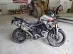 2024 Triumph 2024 Triumph Motorcycle Tiger 900 Rally PRO