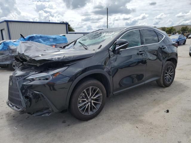 2024 Lexus NX 250 Base