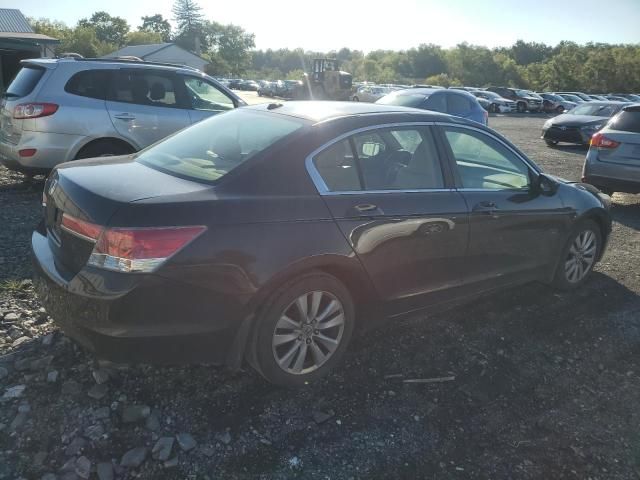 2011 Honda Accord EXL